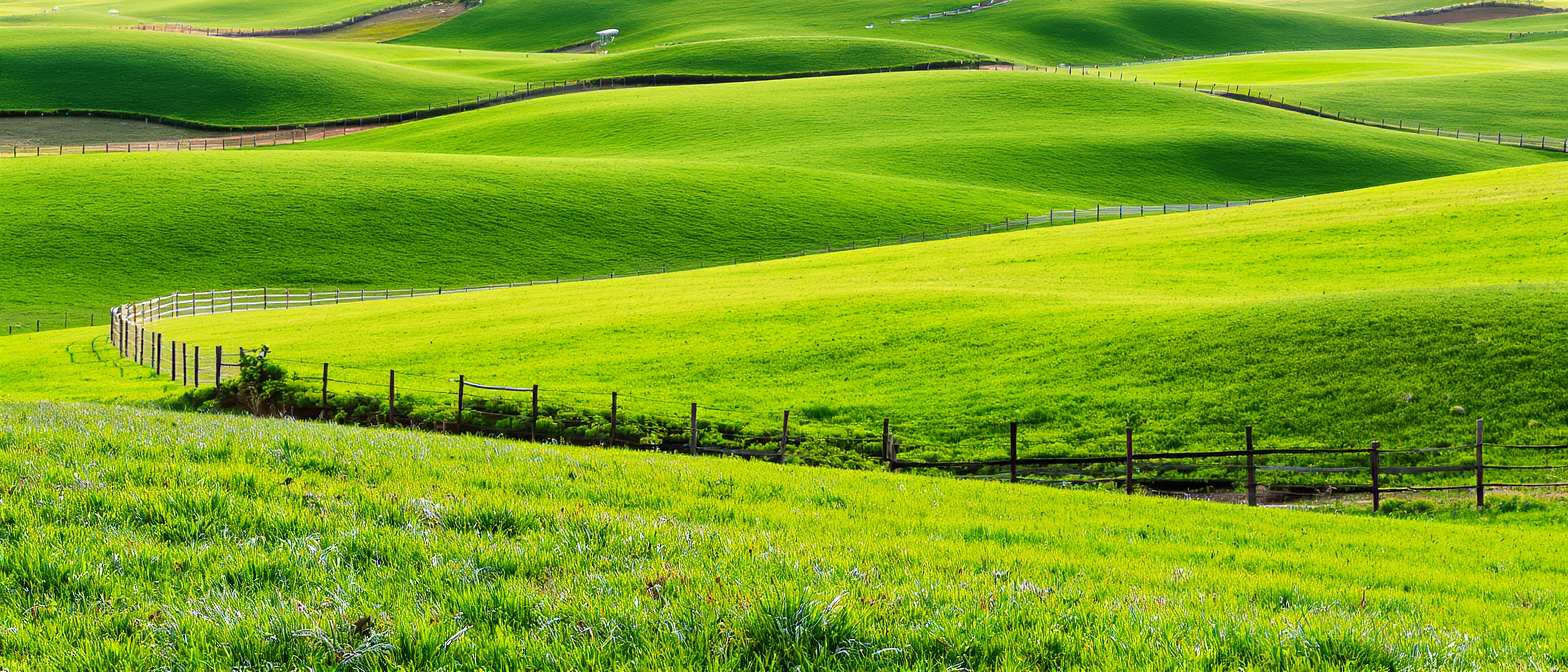 L’importance des pâturages tournants pour les troupeaux 1 découvrez comment les pâturages tournants améliorent la santé des troupeaux, optimisent la croissance de l’herbe et favorisent une gestion durable des ressources agricoles.